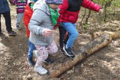 IMG_20250512_114154_copy_1187x1587_1
