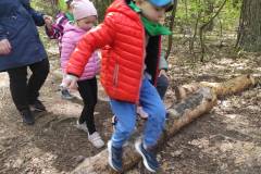 IMG_20250512_114155_copy_1184x1582_1