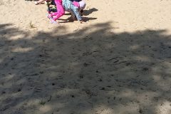 20250512_110154_resized