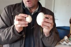 20240425_100427_copy_834x1112