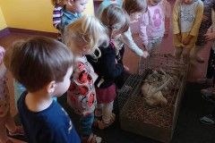 IMG_8111