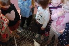 IMG_8113